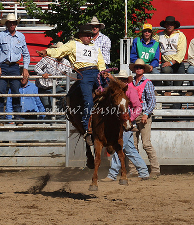 bobsun_0823_edited-1