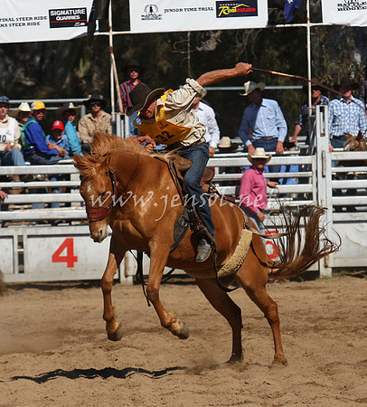 bobsun_0735_edited-1