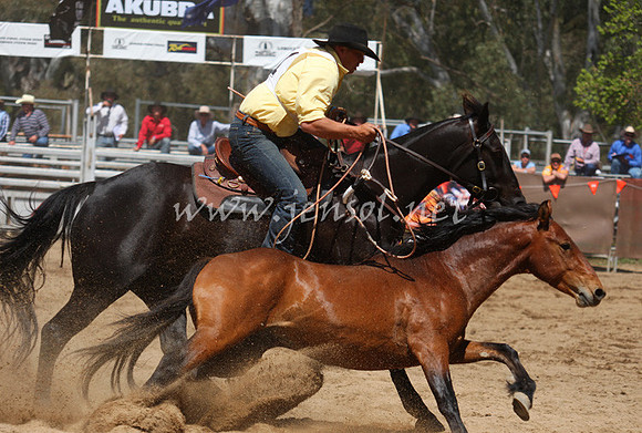 bobsun_0440_edited-1