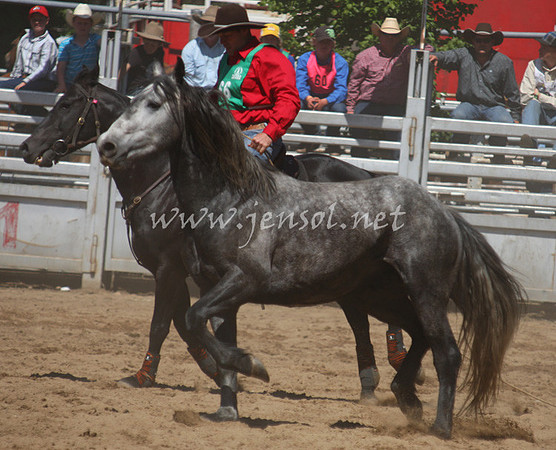bobsun_0563_edited-1
