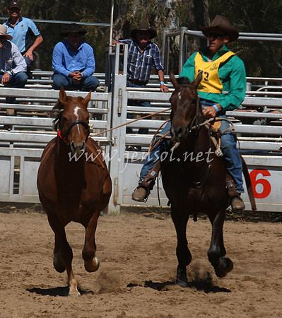 bobsun_0608_edited-1