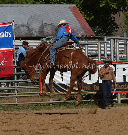 bobsun_0759_edited-1