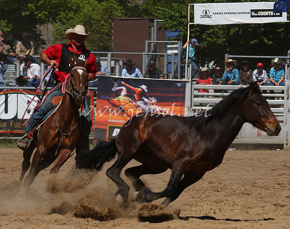 bobsun_0572_edited-1