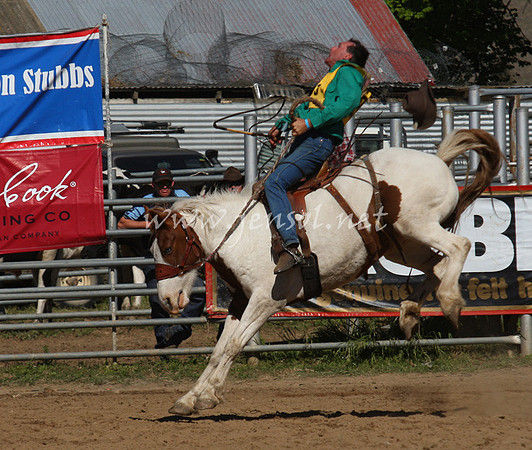 bobsun_0707_edited-1