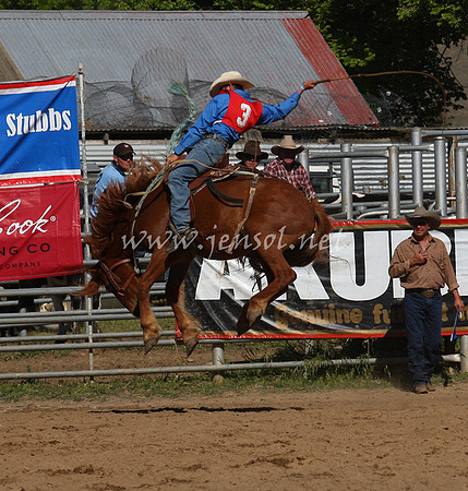 bobsun_0756_edited-1
