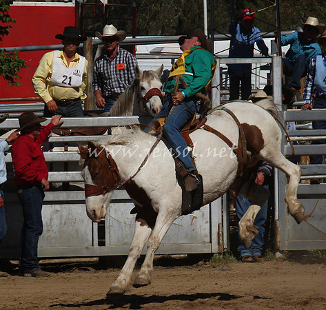 bobsun_0702_edited-1