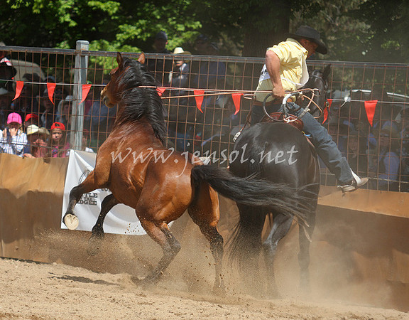 bobsun_0446_edited-1