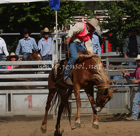 bobsun_0776_edited-1