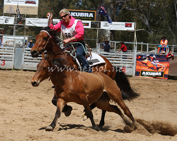 bobsun_0423_edited-1