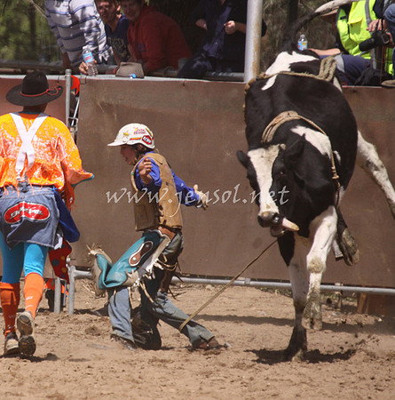 bobsun_1096_edited-1