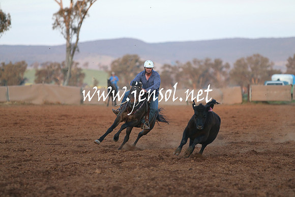IllaboSat_1286