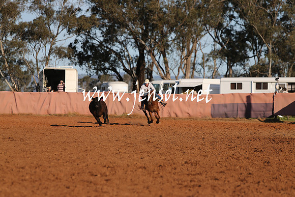 IllaboSat_1003