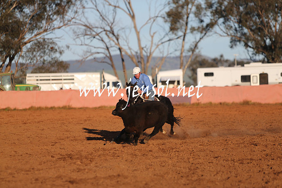 IllaboSat_1117