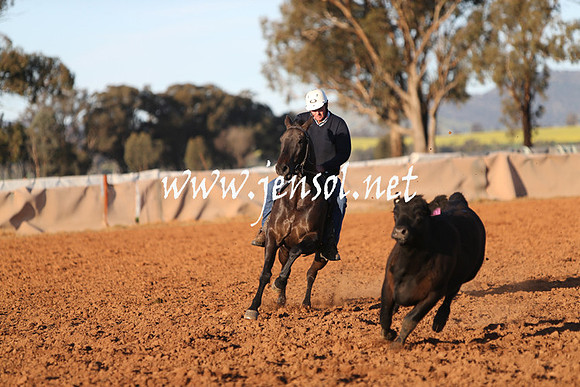 IllaboSat_1051