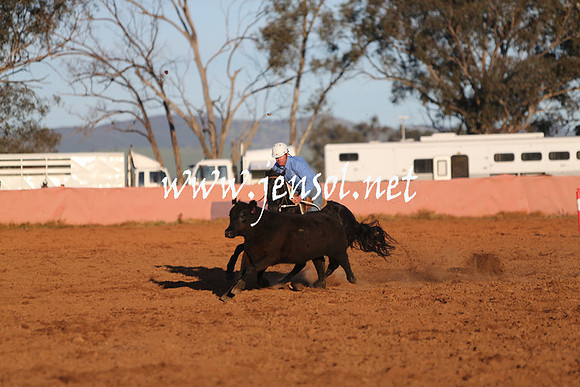IllaboSat_1115