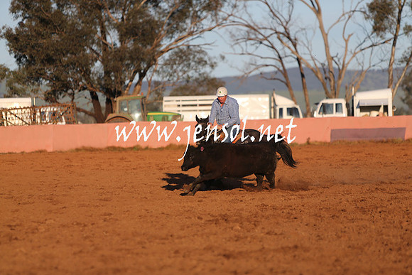 IllaboSat_1140