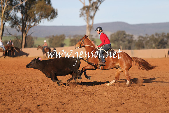IllaboSat_1025
