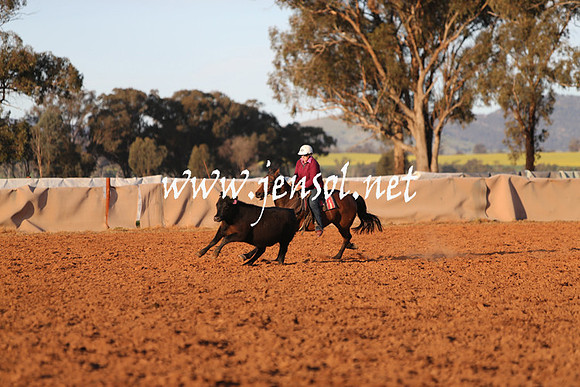 IllaboSat_1103