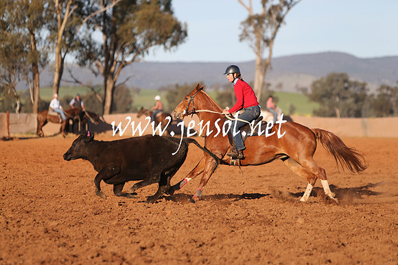 IllaboSat_1026