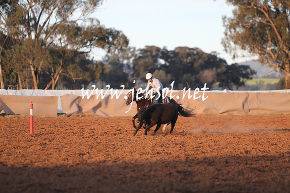 IllaboSat_1175