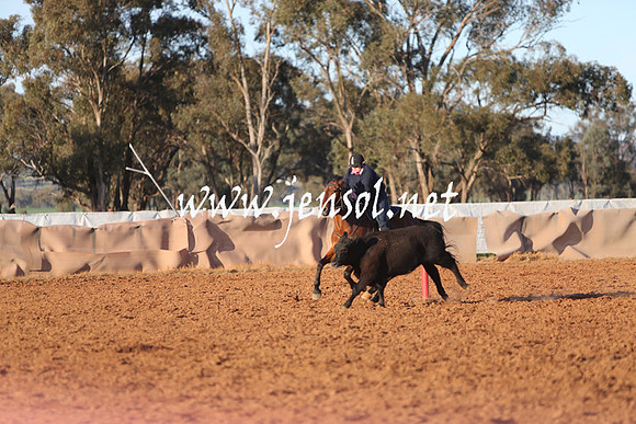 IllaboSat_1047