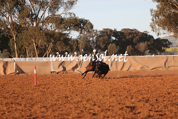 IllaboSat_1131