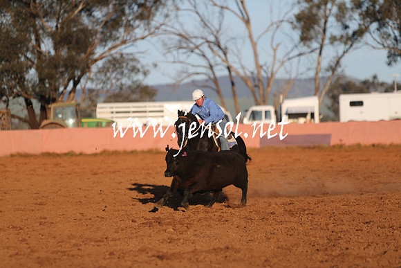 IllaboSat_1119