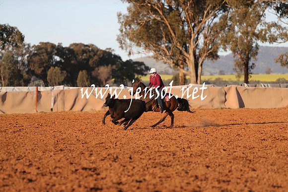 IllaboSat_1102