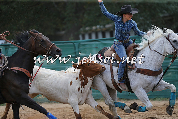 CoomaRodeo2015_1039