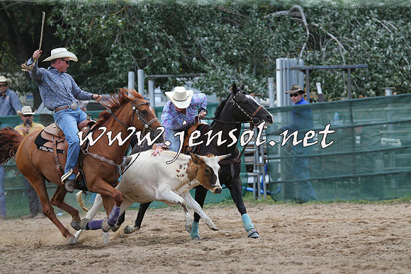 CoomaRodeo2015_1004
