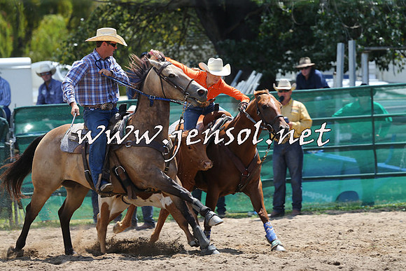 CoomaRodeo2015_0545