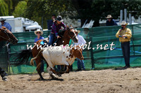 CoomaRodeo2015_0513