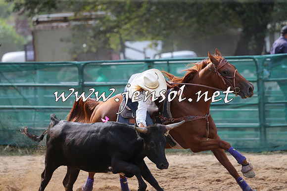 CoomaRodeo2015_2007