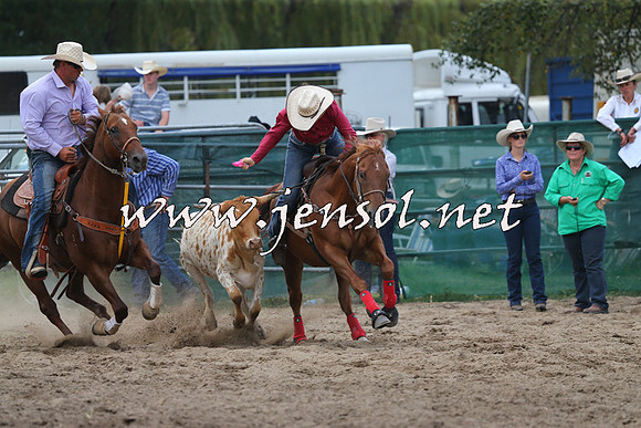 CoomaRodeo2015_2017