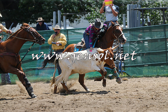CoomaRodeo2015_0520