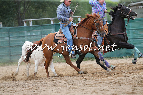 CoomaRodeo2015_1016