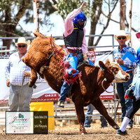 HardenRodeo_2995