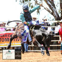 HardenRodeo_2959