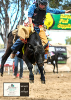 HardenRodeo_2590