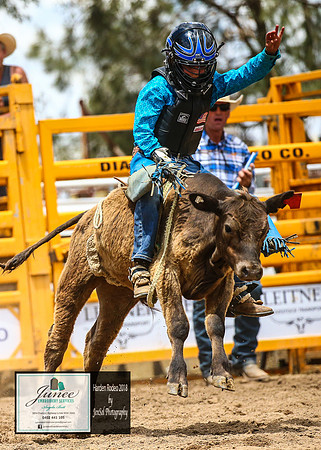 HardenRodeo_3194