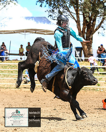 HardenRodeo_3565