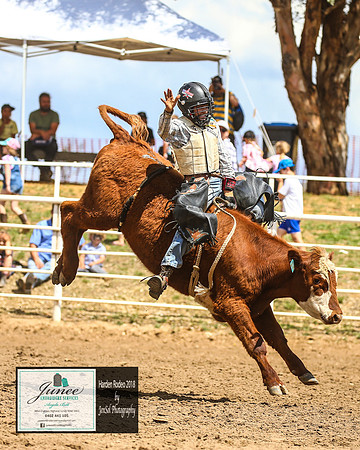 HardenRodeo_3584