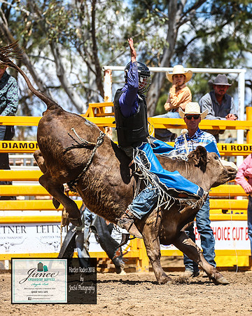HardenRodeo_3593