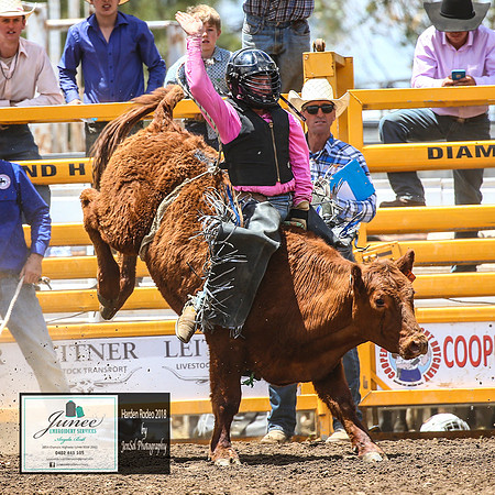 HardenRodeo_3013