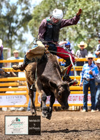 HardenRodeo_2972