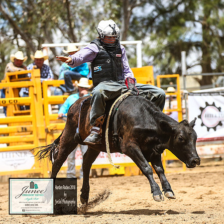 HardenRodeo_3312