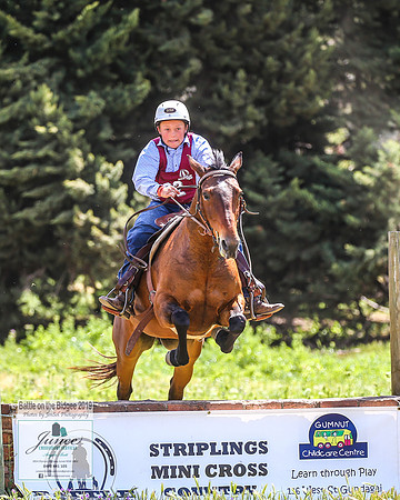 BOTB2019_7032