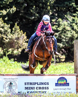 BOTB2019_6585