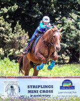 BOTB2019_6546