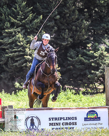 BOTB2019_6890